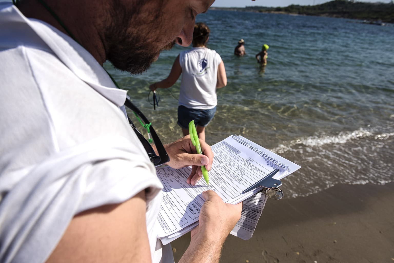 Attività di ricerca