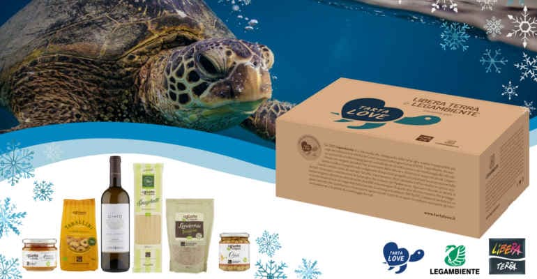 Immagine non disponibile