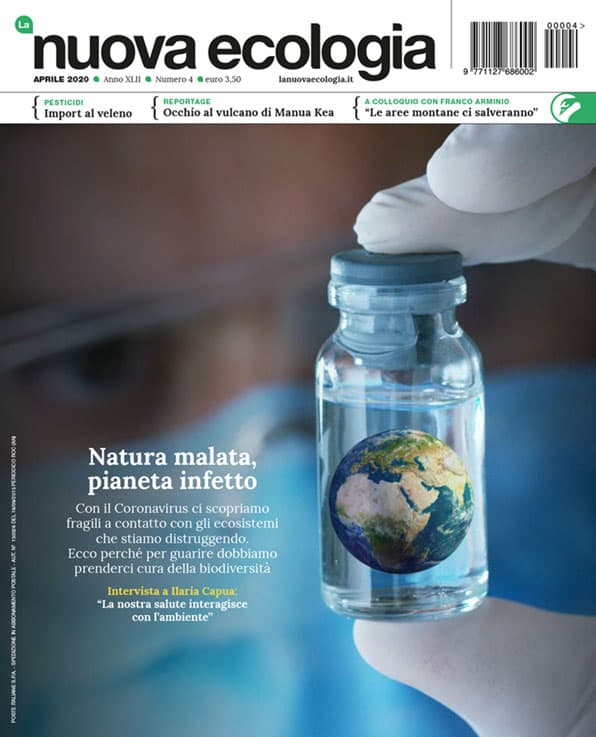 Natura malata, pianeta infetto: l’incrocio di destini fra uomo e ambiente su “Nuova Ecologia” di aprile