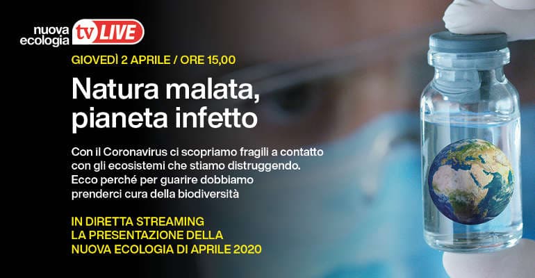 Immagine non disponibile