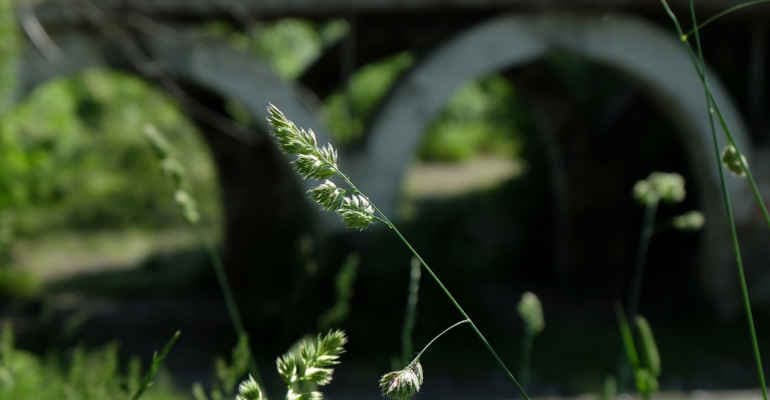 Albiano, crolla ponte su fiume Magra
