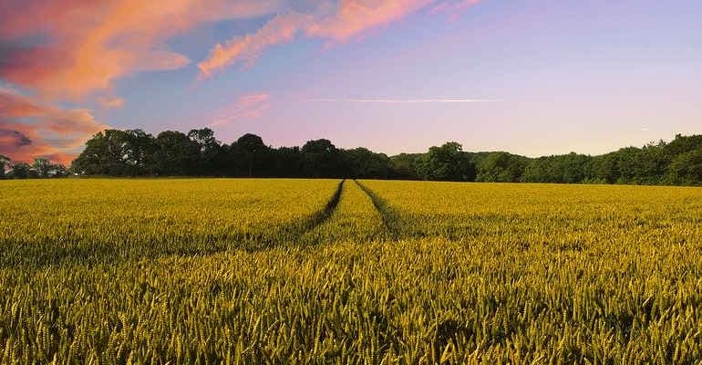 Coalizione #CAMBIAMOAGRICOLTURA: con la strategia F2F parte la transizione