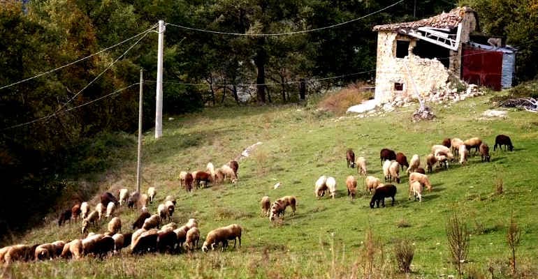 Anniversario terremoto del Centro Italia