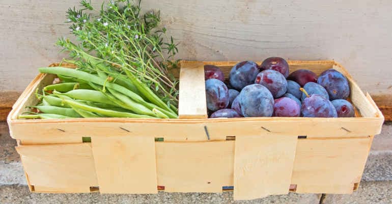 Immagine non disponibile