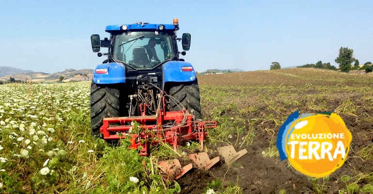 Agricoltura. Evoluzione Terra: al via il progetto per lo sviluppo di un’agricoltura sostenibile e sociale in Italia