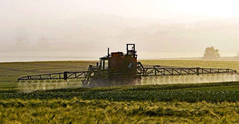 Stop Pesticidi, ecco i dati del dossier Legambiente sui residui che ci arrivano nel piatto