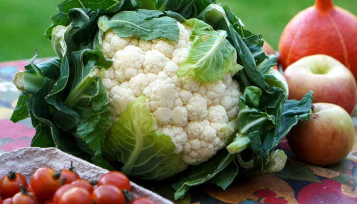 Dossier Stop pesticidi 2020