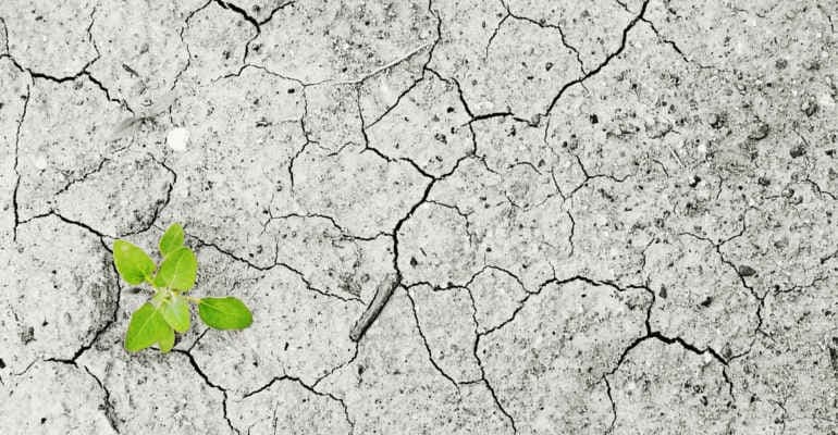 La protezione del suolo ritorna nell’agenda europea del Green Deal