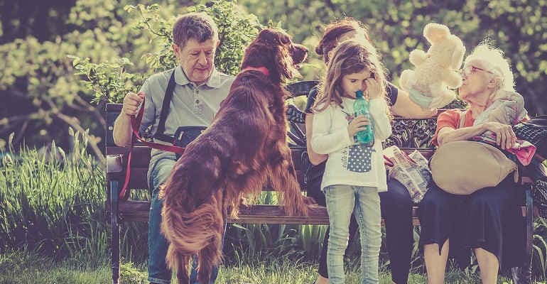 Animali, Roberto Speranza firma decreto farmaci, plauso Legambiente