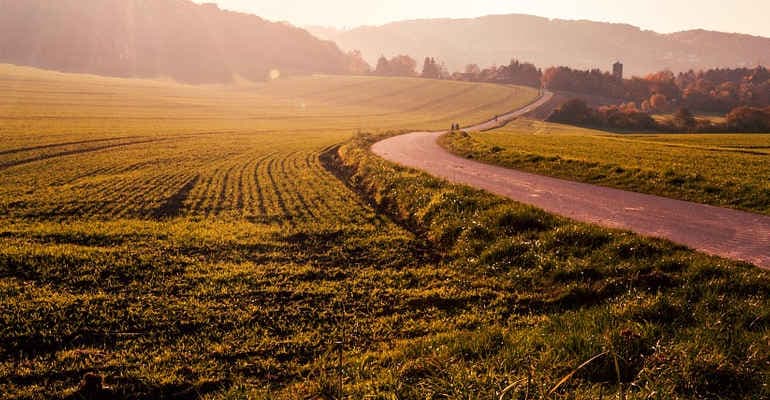 Lotta all’agropirateria e sicurezza alimentare: una riforma che non può più attendere