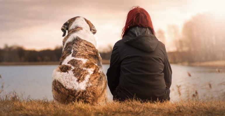 Vengo via con te, parte campagna informazione cinofila Legambiente ENCI