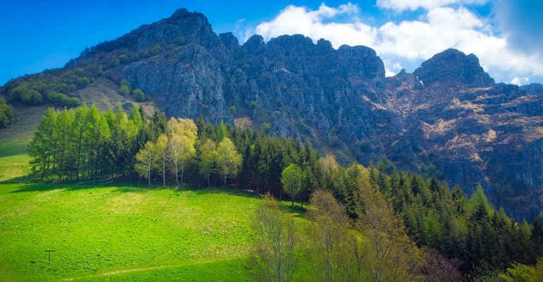 Immagine non disponibile