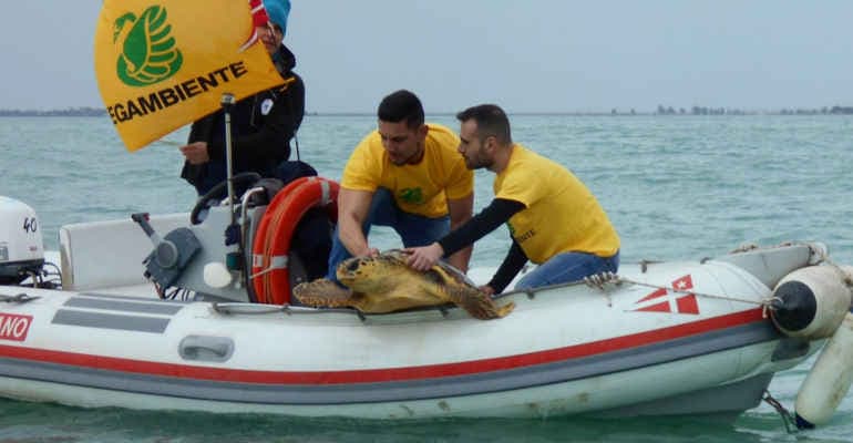 Giornata mondiale tartarughe marine, arrivano i Tartawatchers
