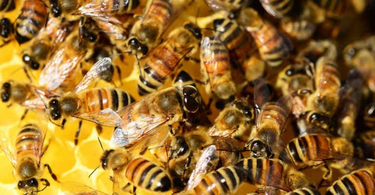 Emergenza Sardegna: speciale edizione Save the Queen