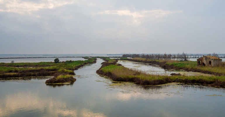 Giornata mondiale Zone Umide 2023: il ripristino che rigenera i territori