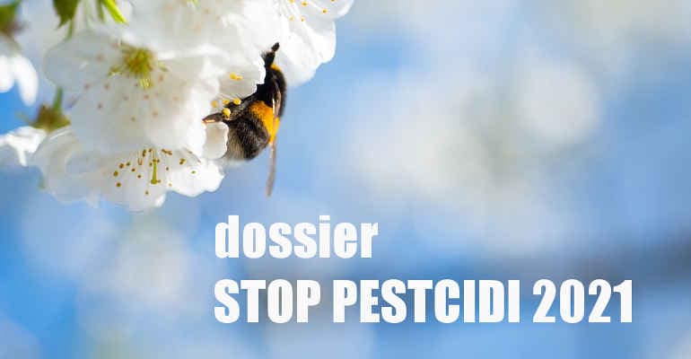 Stop pesticidi nel piatto 2021: i dati del dossier di Legambiente
