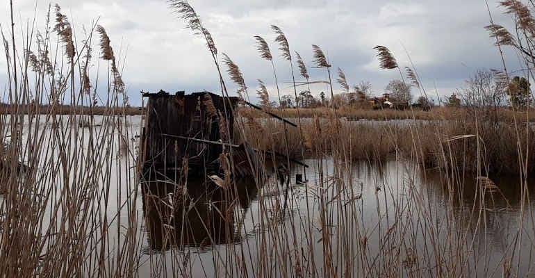 Immagine non disponibile