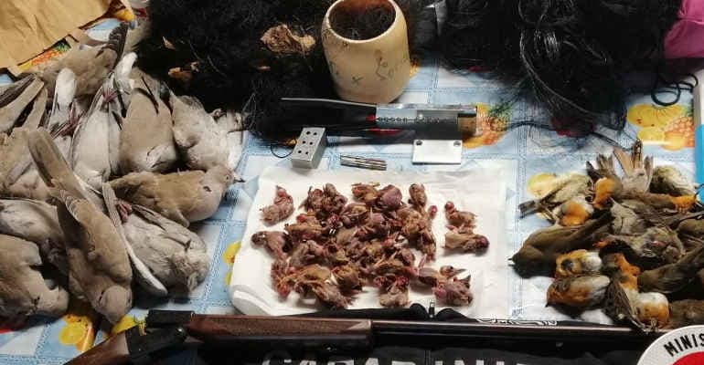 30ennale legge fauna selvatica e i dati sul bracconaggio in Italia