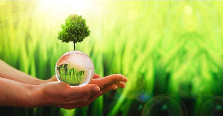 Giornata mondiale della Terra, 10 azioni per aiutare il Pianeta