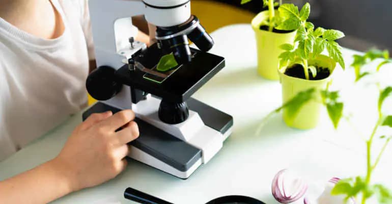 Biodiversity4Young, progetto Legambiente-Enel per le scuole