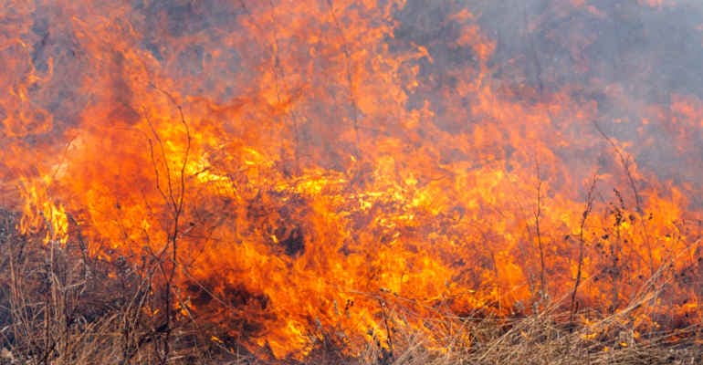 Italia in fumo: il nuovo report di Legambiente sugli incendi