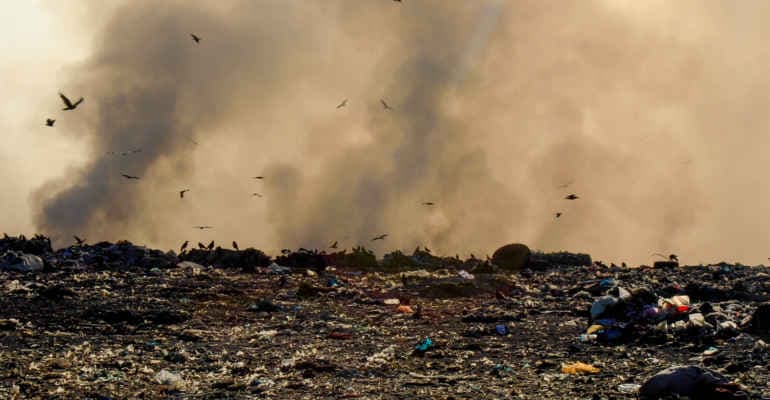 Premio Ambiente e Legalità di Legambiente e Libera per chi contrasta i Ladri di Futuro