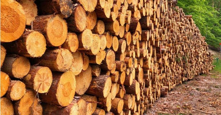 V Forum nazionale “La Bioeconomia delle Foreste” nel quarto anniversario della tempesta Vaia
