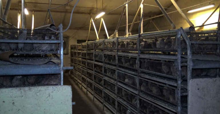 Immagine non disponibile