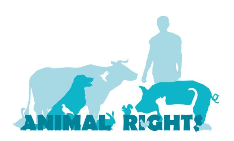 Giornata internazionale dei diritti degli animali