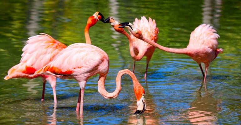 Giornata Modiale delle Zone Umide