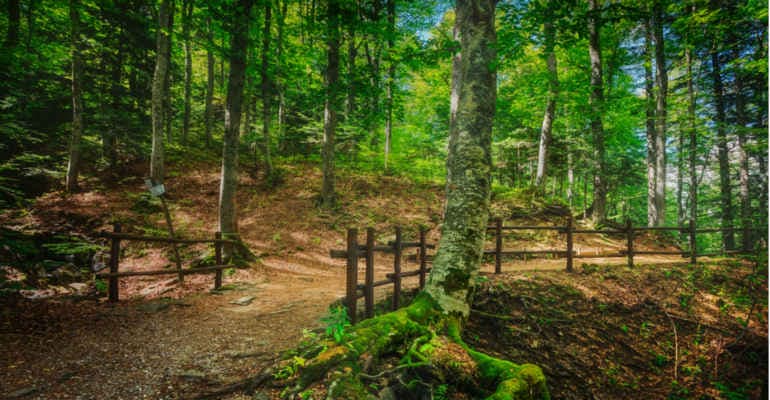 Legambiente presenta la prima edizione di Parchi Rifiuti Free