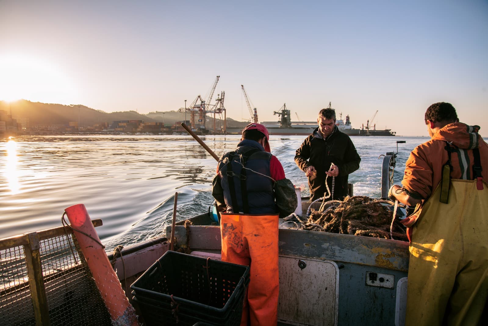 L’impatto ambientale dell’allevamento delle cozze