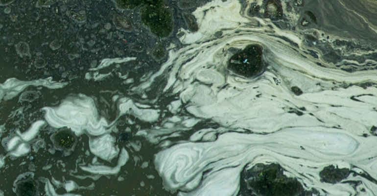 Ue incalza Italia con infrazione per inquinamento da nitrati