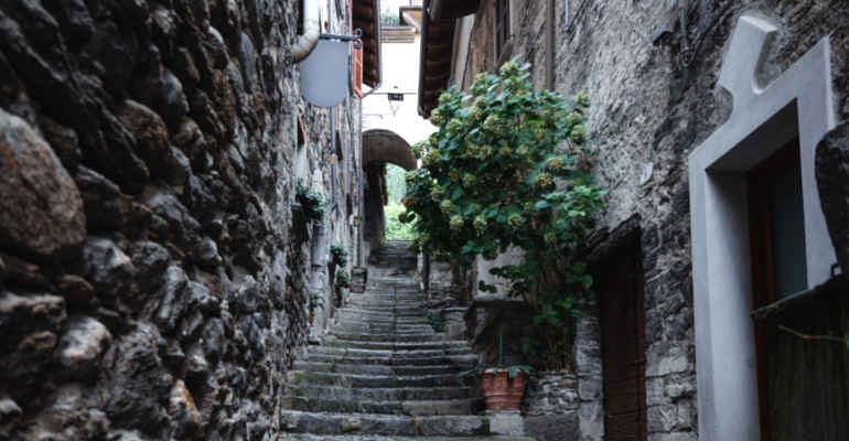 Immagine non disponibile