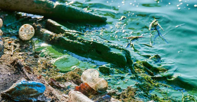 È ora di affrontare seriamente la maladepurazione