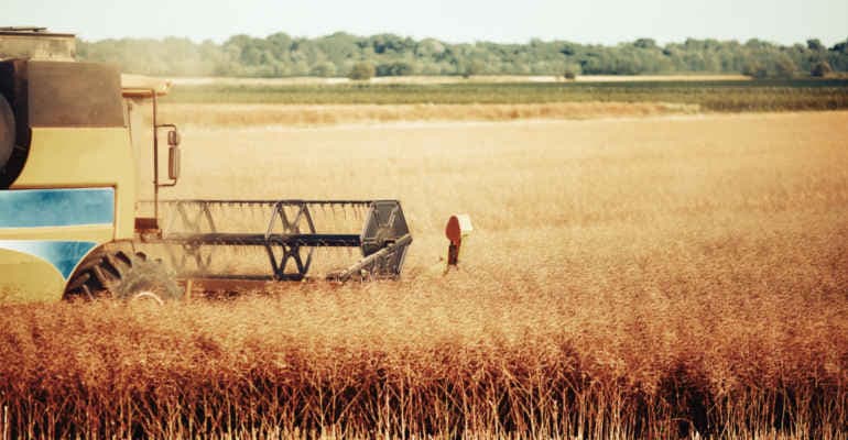 La strada in salita dell’agricoltura italiana