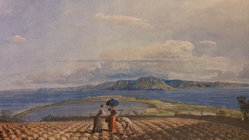 Salviamo la bellezza dello Stretto di Messina