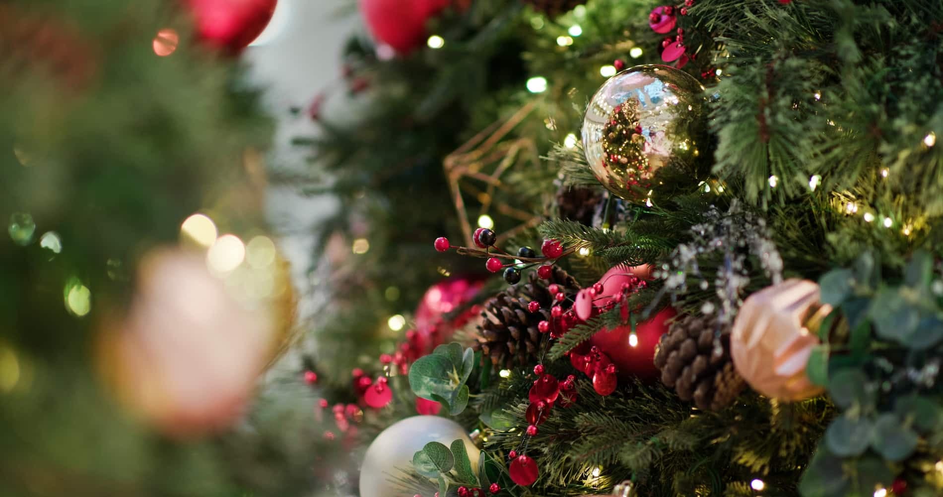 Alberi di Natale, fai la scelta giusta