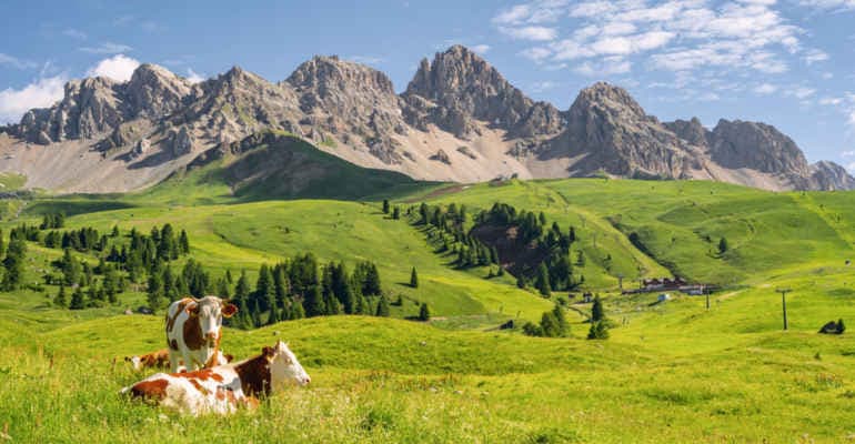 VIII Summit Nazionale delle Bandiere Verdi 2024 di Legambiente