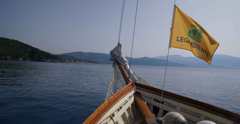 Immagine non disponibile