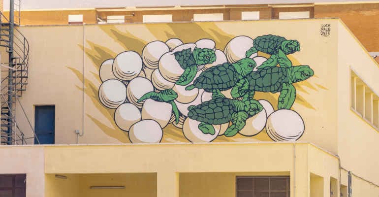 Immagine non disponibile