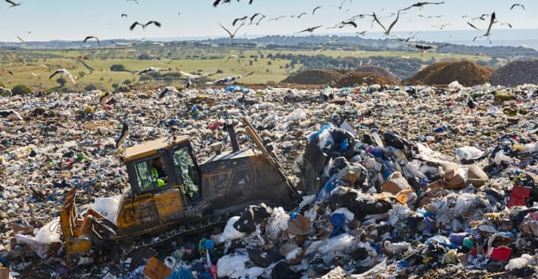 ControEcomafie, per difenderci dall’illegalità ambientale