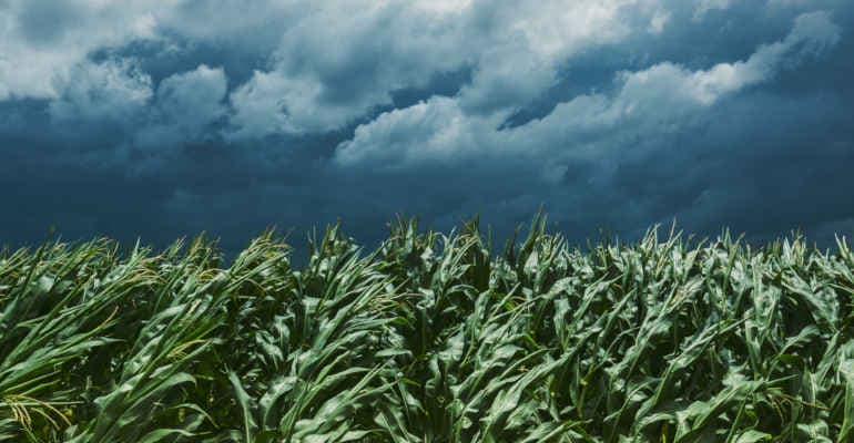 VI Forum Agroecologia Circolare, i dati di Città Clima -Speciale Agricoltura