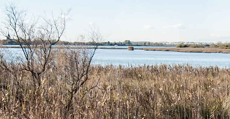 Gas, la sentenza del Tar dà ragione agli ambientalisti: il progetto Teodorico sul Delta del Po va bloccato