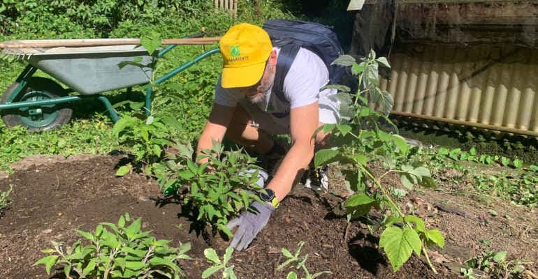 Immagine non disponibile