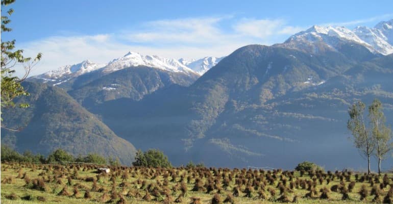 Summit nazionale Bandiere Verdi 2025