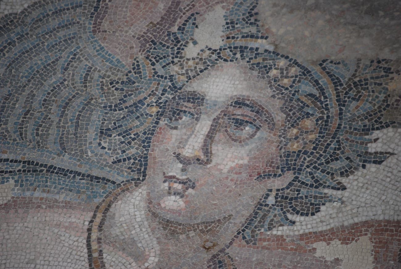 Immagine di copertina