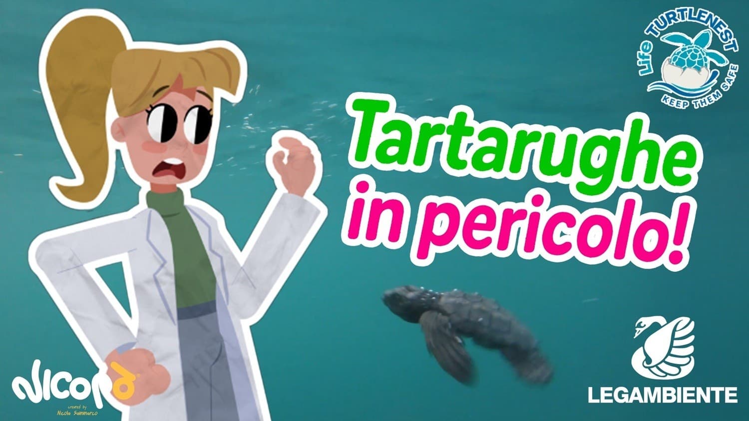 Alla scoperta della Caretta caretta