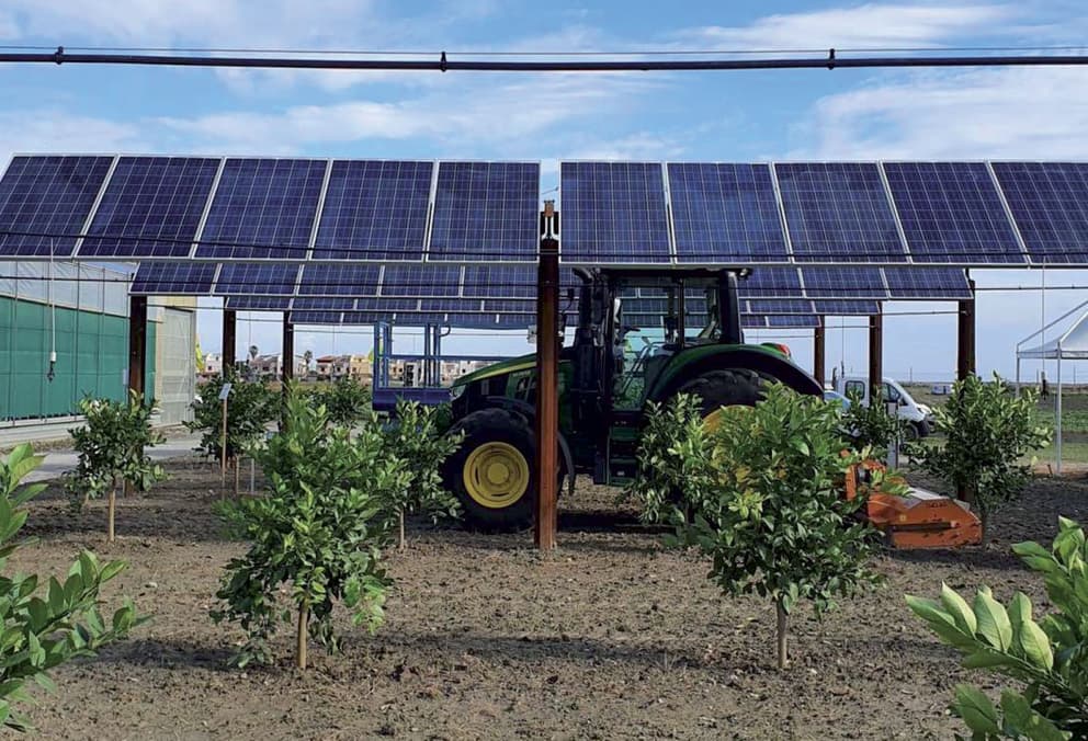 Immagine non disponibile