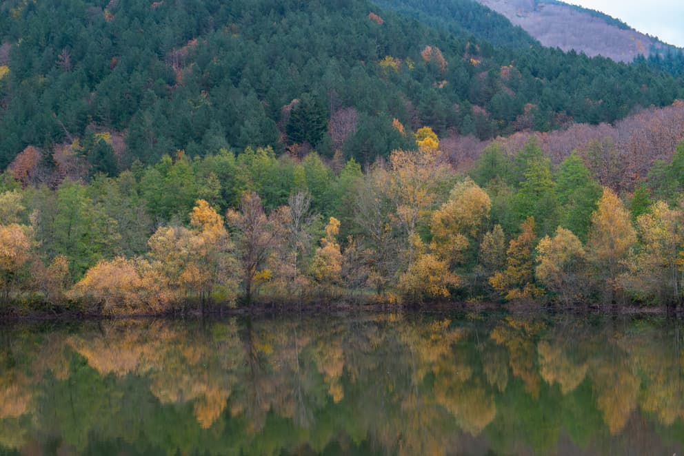V edizione dell’Atlante delle Foreste: l’Italia accelera sul verde